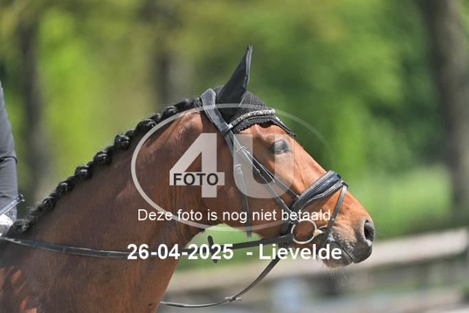 250426 2004