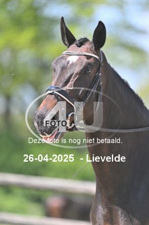 250426 2182