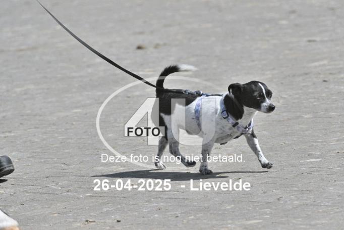 250426 2362