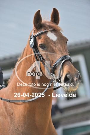 250426 2419