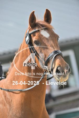 250426 2421