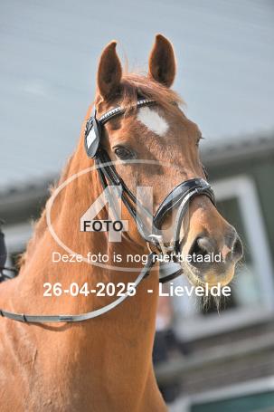 250426 2422