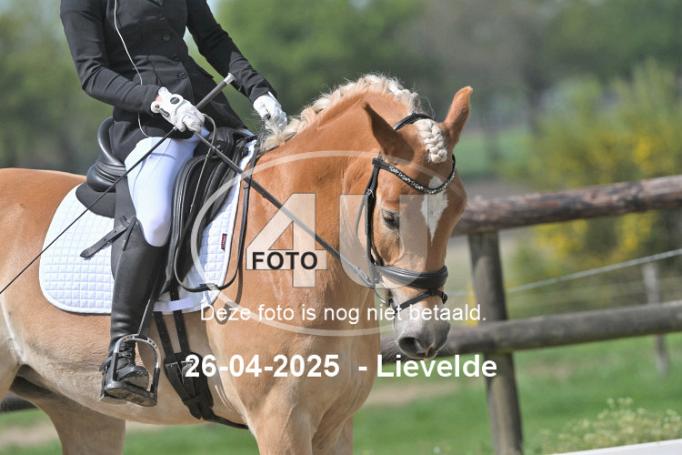 250426 2487