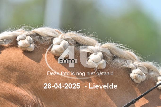250426 2490