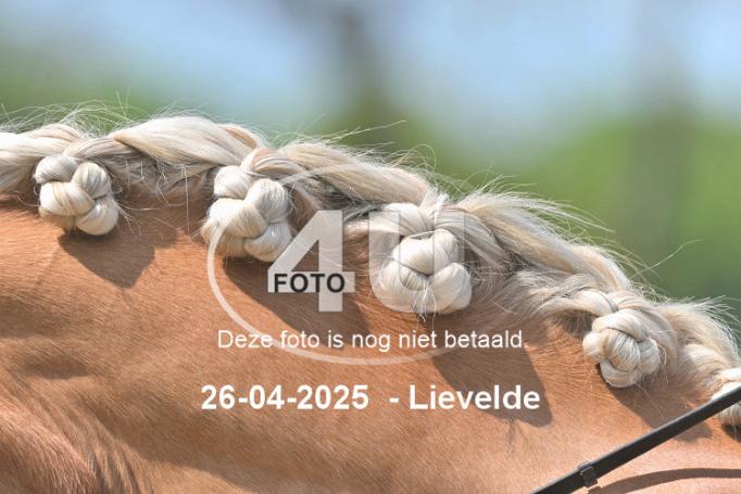 250426 2491