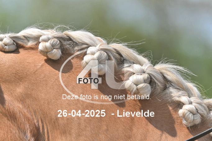 250426 2492