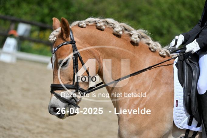 250426 2543