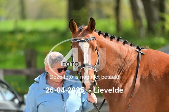 250426 2620
