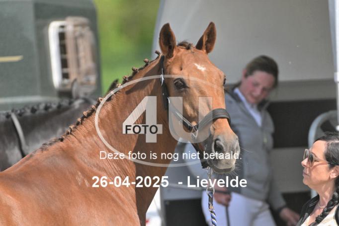 250426 2841