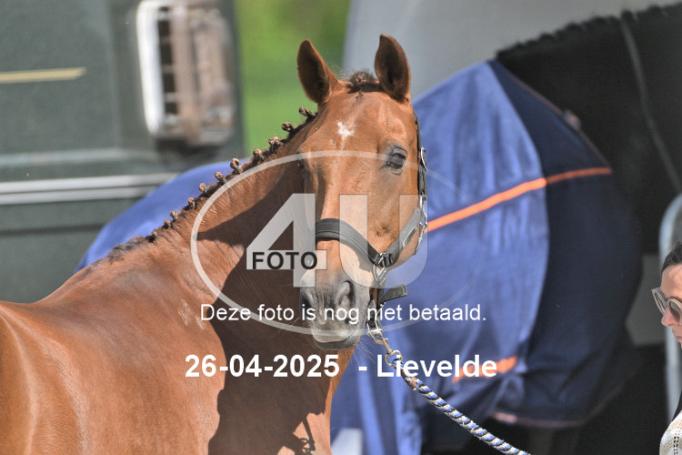 250426 2845