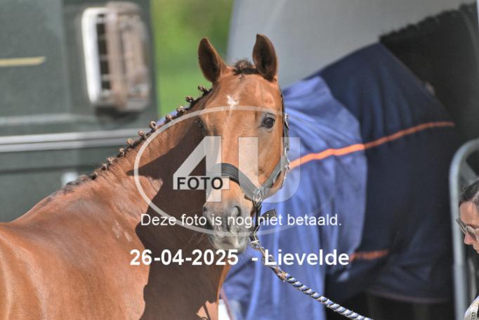 250426 2846