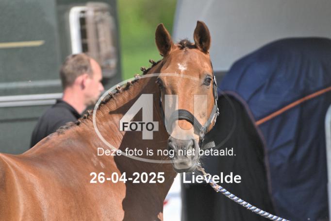 250426 2847
