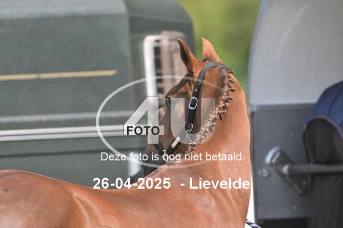 250426 2850