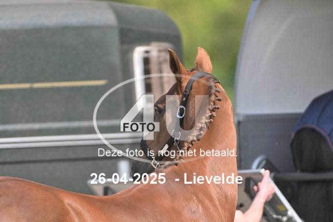 250426 2851