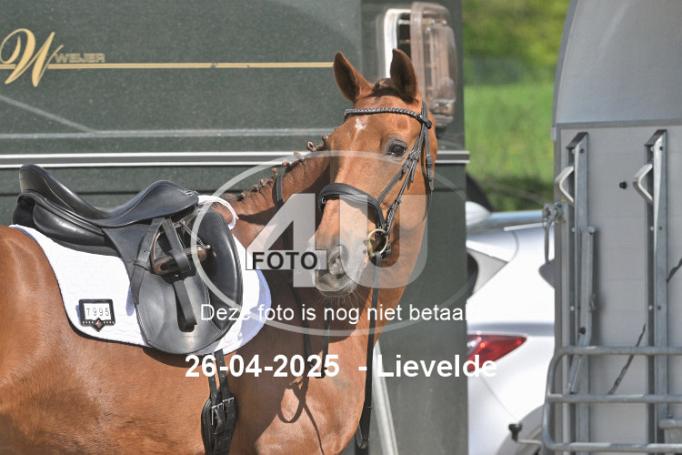 250426 2902