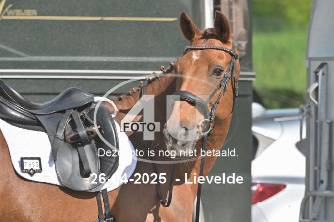 250426 2904