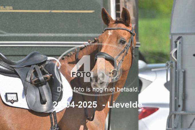250426 2908