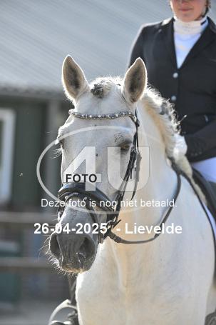 250426 3484