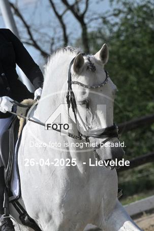 250426 3521