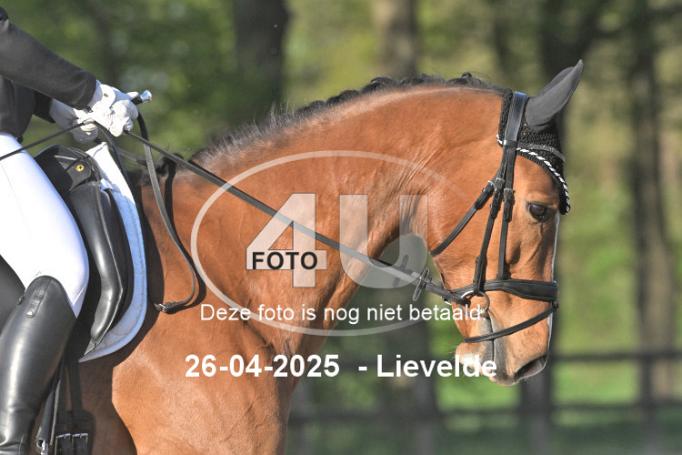 250426 4171