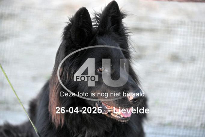 250426 4636