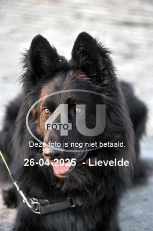 250426 4638