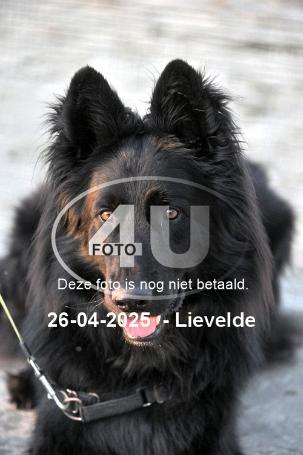 250426 4639