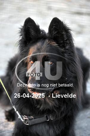 250426 4641