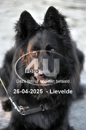 250426 4642