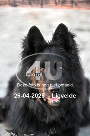 250426 4643