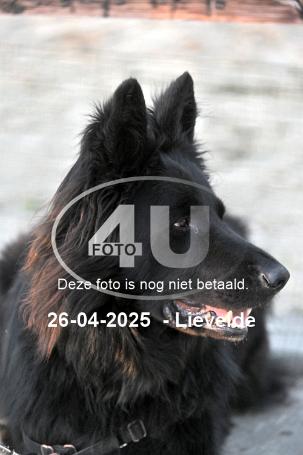 250426 4644