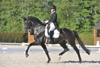 27-04-2025 Neerijnen