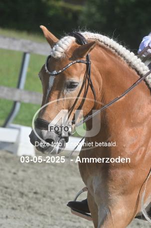 250503 1343