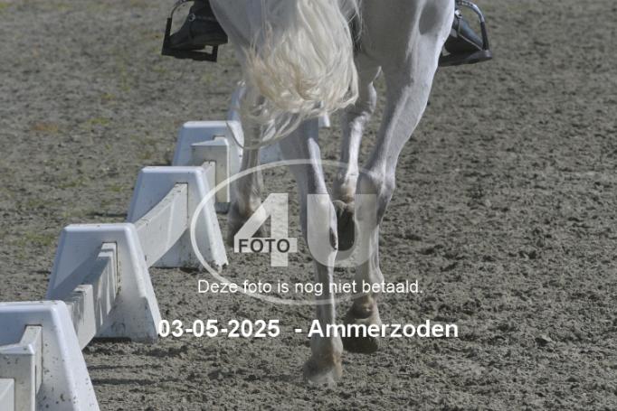 250503 1446