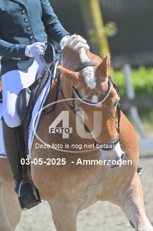 250503 2277