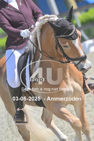 250503 2461