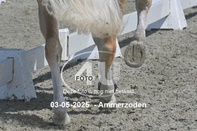 250503 2513