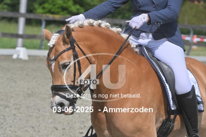 250503 3043