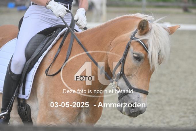 250503 4135