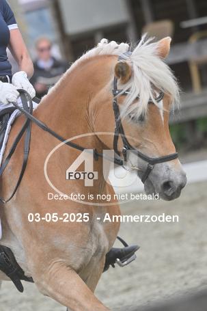 250503 4142