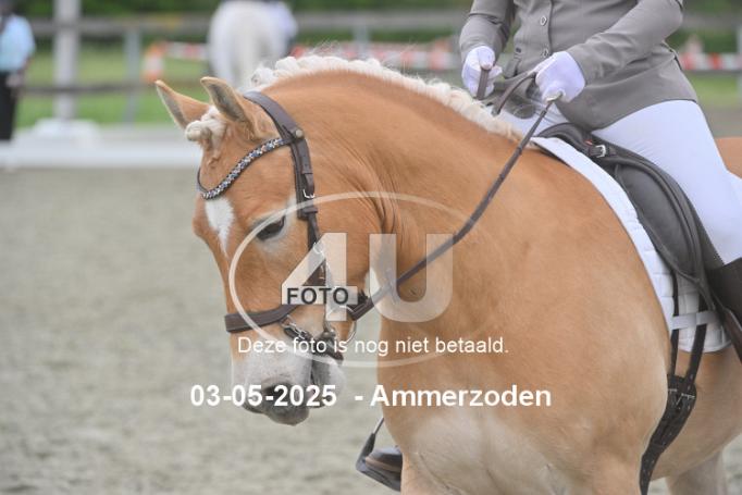 250503 4402