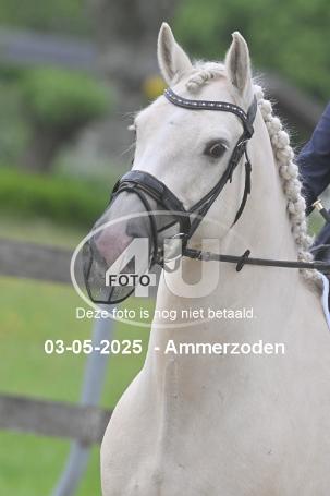 250503 4508