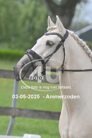 250503 4626