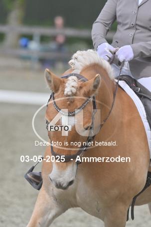 250503 4635