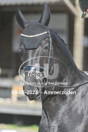 250503 5184
