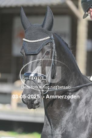 250503 5185