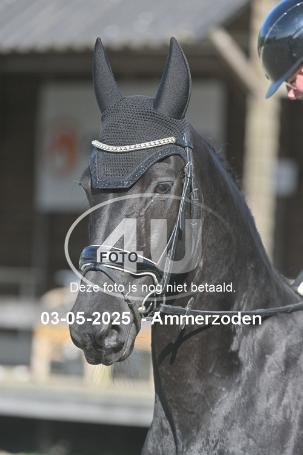 250503 5186