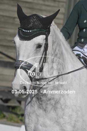 250503 5228