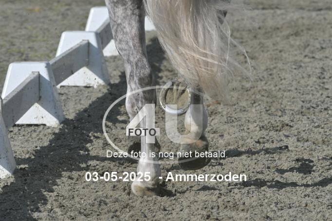 250503 5288