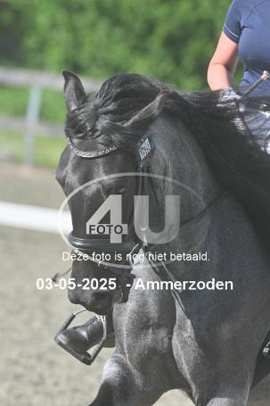 250503 5313